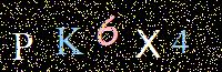 Access Key