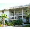 WESLEY CHAPEL Real Estate