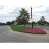 Glenn Heights Real Estate