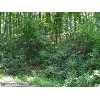 FRONT ROYAL Real Estate