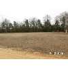 ORANGEBURG Real Estate
