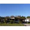 WESLEY CHAPEL Real Estate