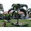 PUNTA GORDA Real Estate