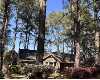 Click here to View Real Estate near 100 lancaster drive Greenville, NC 27834 homes near 100 lancaster drive Greenville, NC 27834