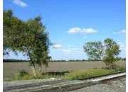 44.69 ACRES Haeckerville Road, Cibolo, TX