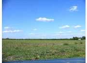 57.15 ACRES Haeckerville Road, Cibolo, TX