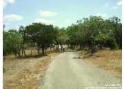 23215 Cibolo Vis, San Antonio, TX