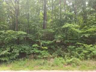 Property at 0 Newaygo Trail